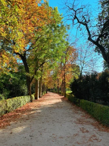 K+C OnlyFans espanolas